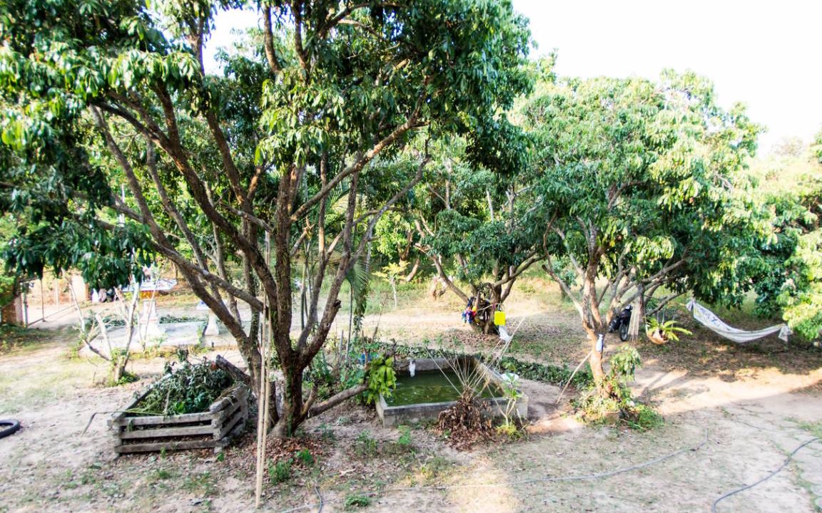 Photo of Others in Choeng Doi