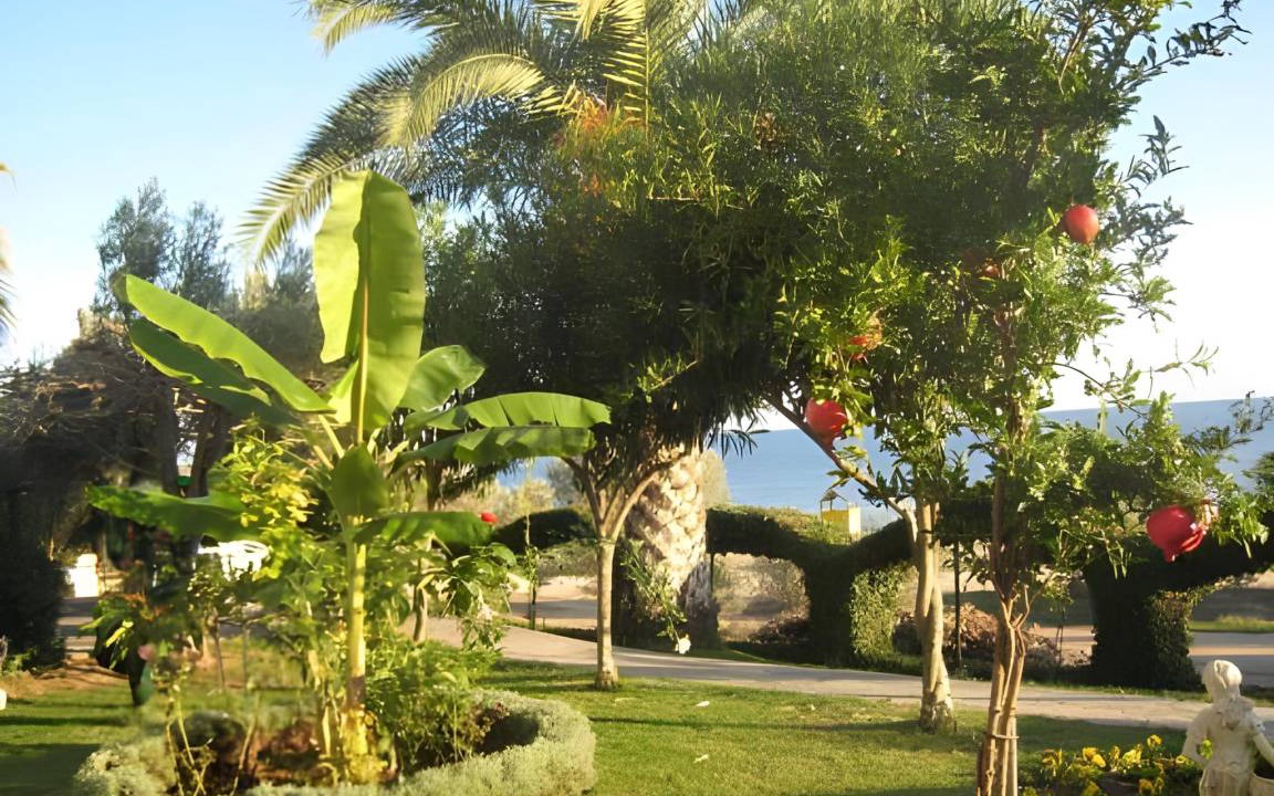 Photo of Others in Psakoudia