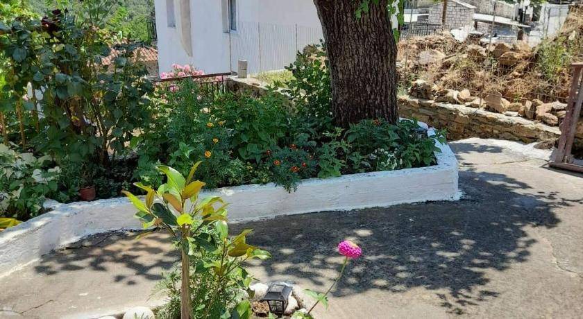Photo of Others in Kastri