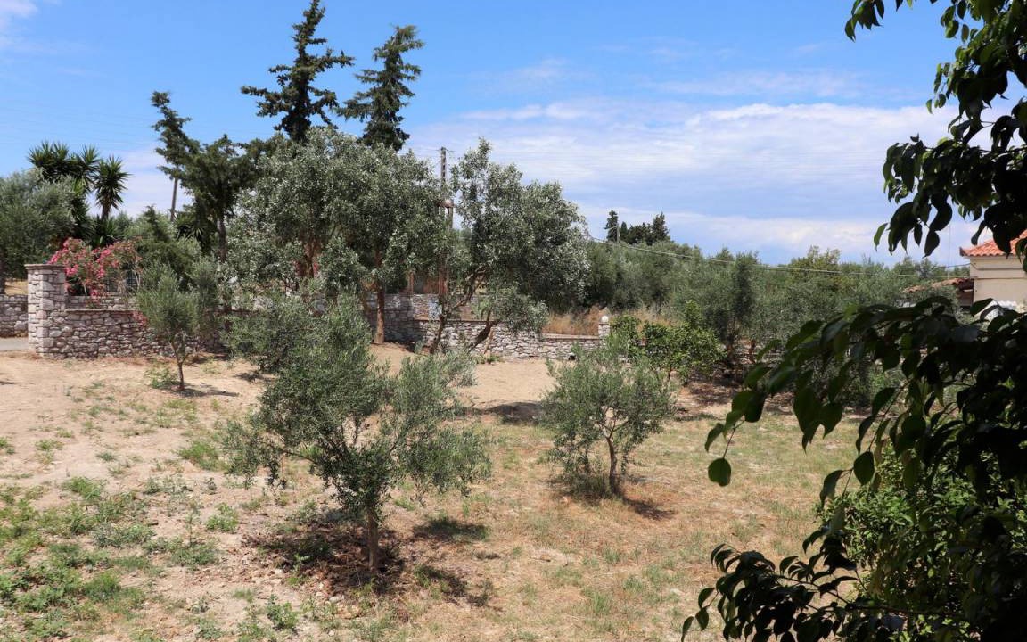 Photo of Others in Pylos-Nestoras