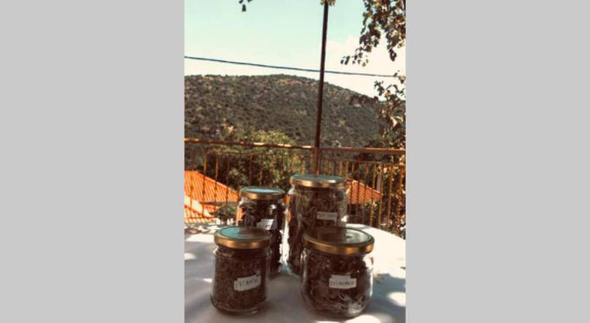 Photo of Others in Kastri