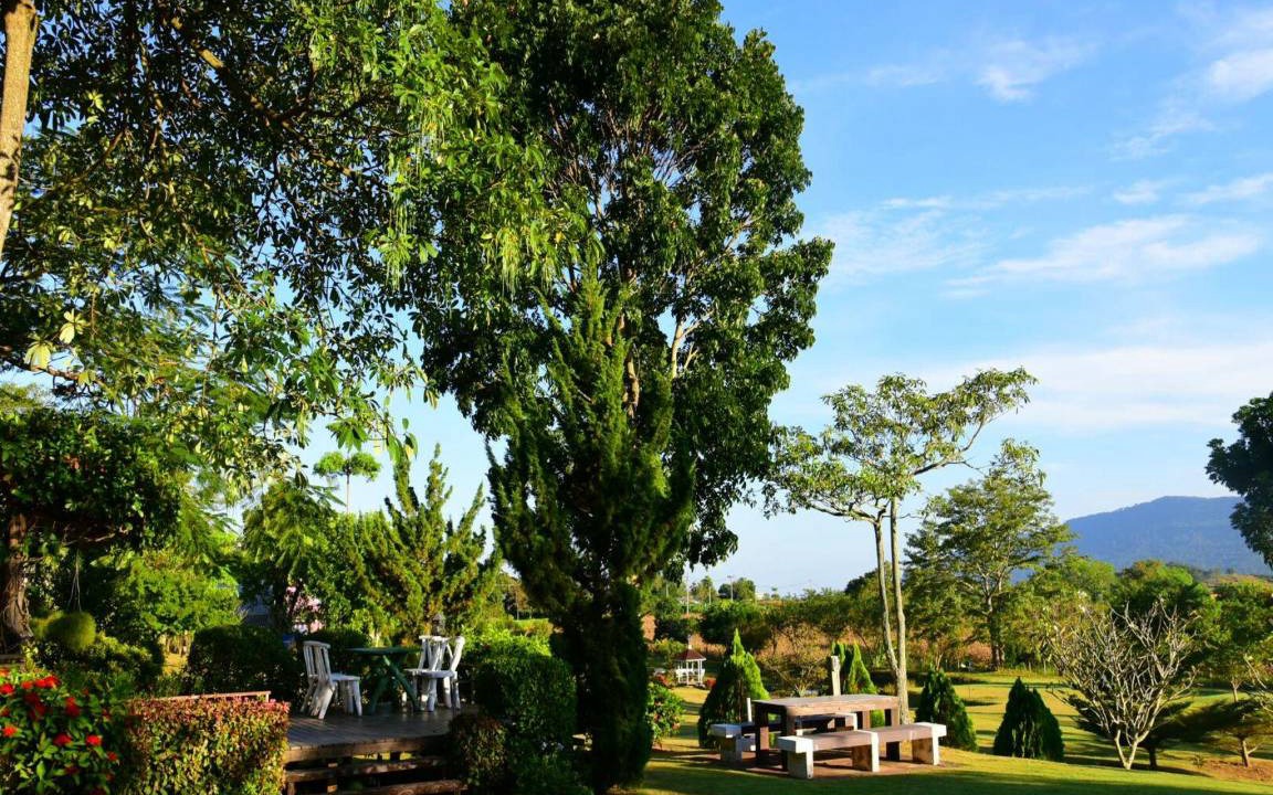 Photo of Others in Pong Ta Long