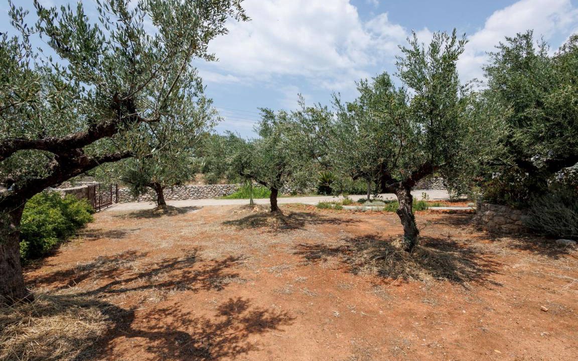 Photo of Others in Agios Nikolaos