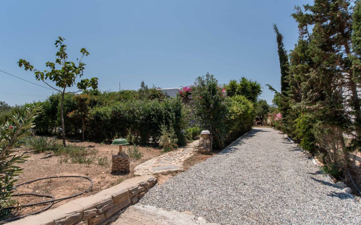 Photo of Others in Paros