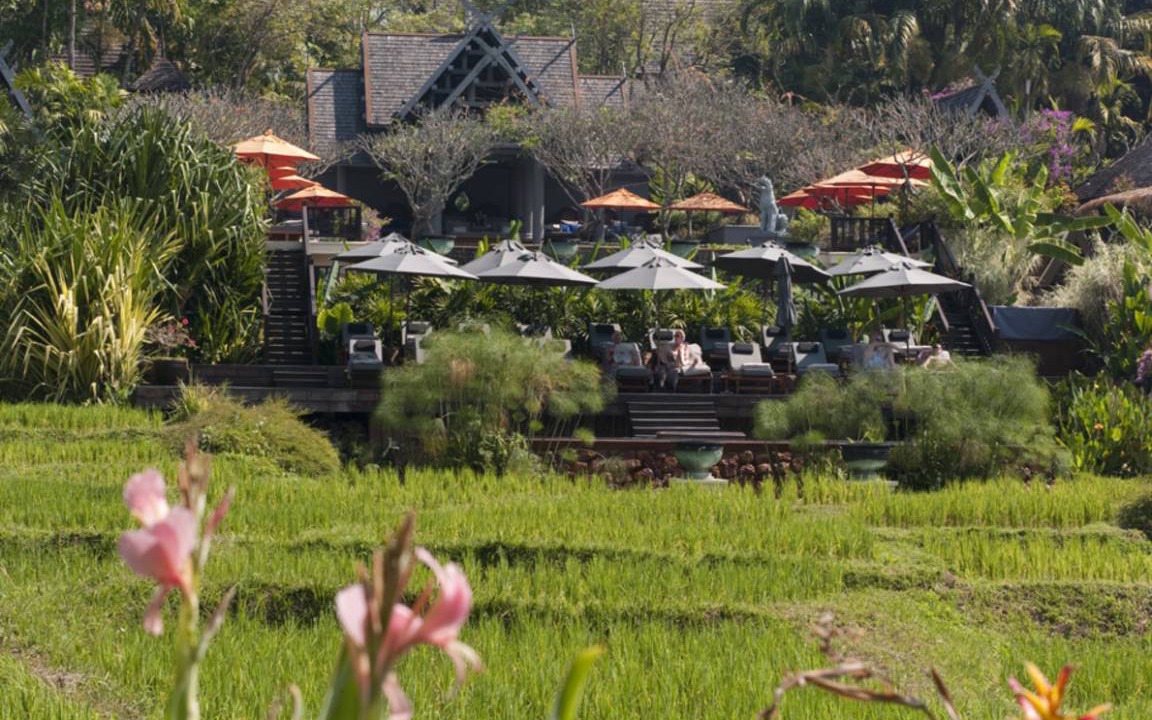 Photo of Others in Mae Rim