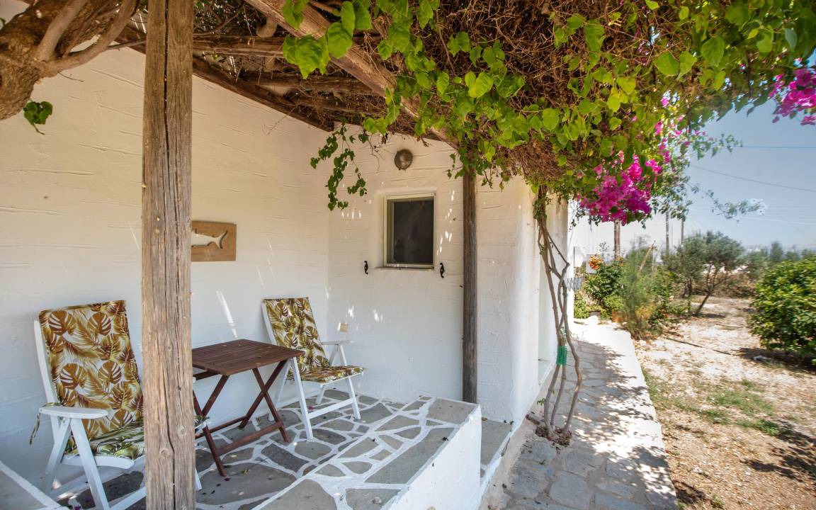 Photo of Others in Paros