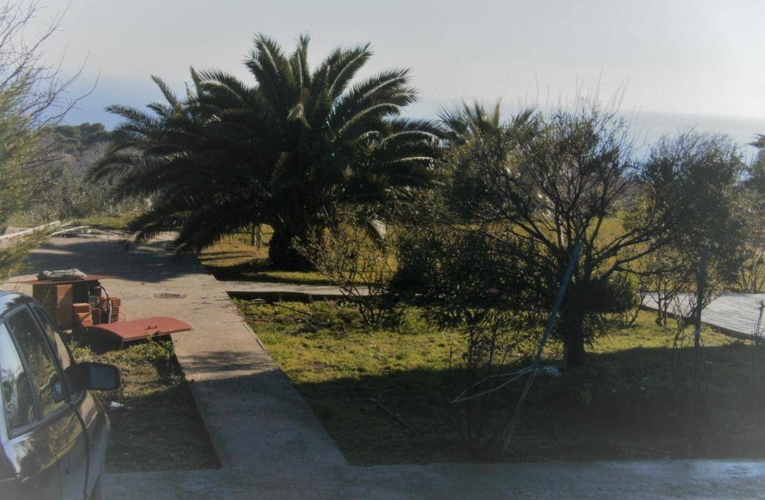 Photo of Others in Sipiada