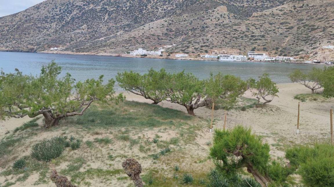 Photo of Others in Kamares