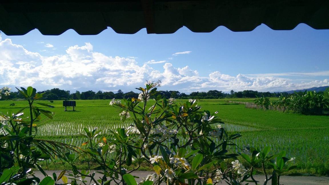 Photo of Others in Nong Yaeng