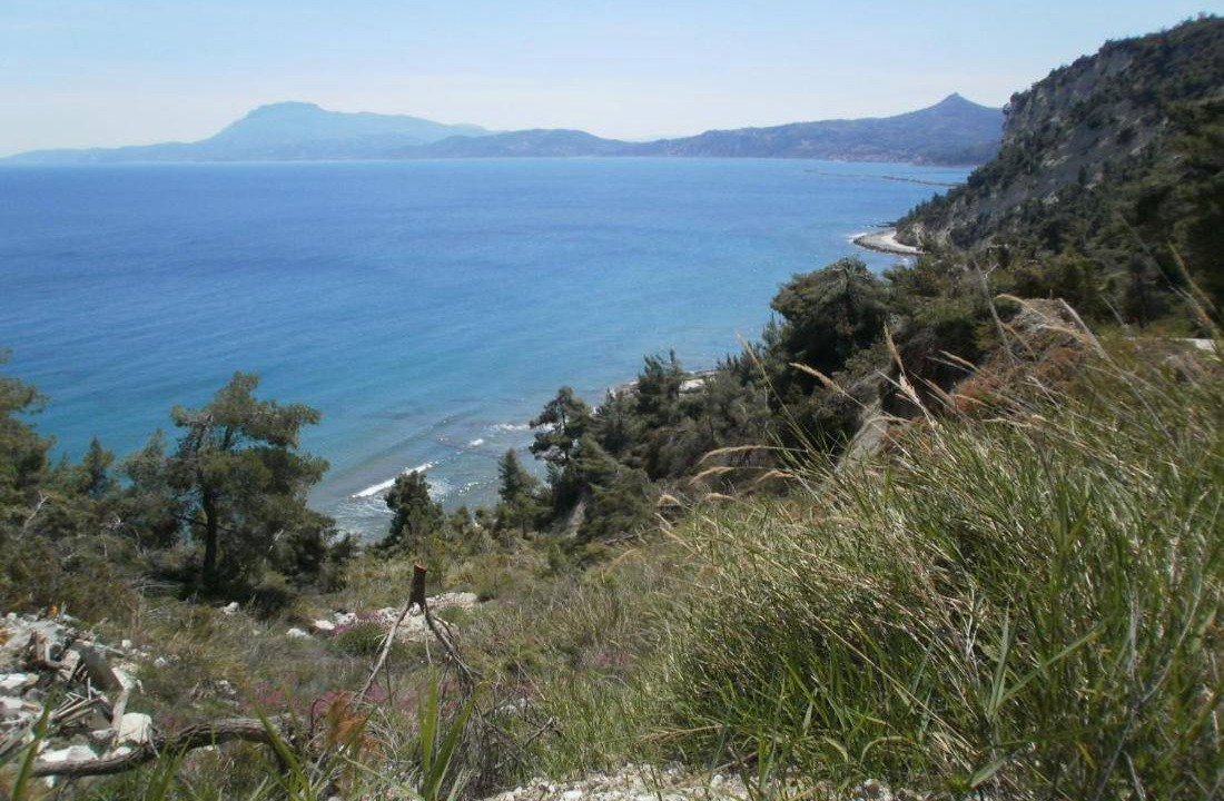 Photo of Others in Sipiada
