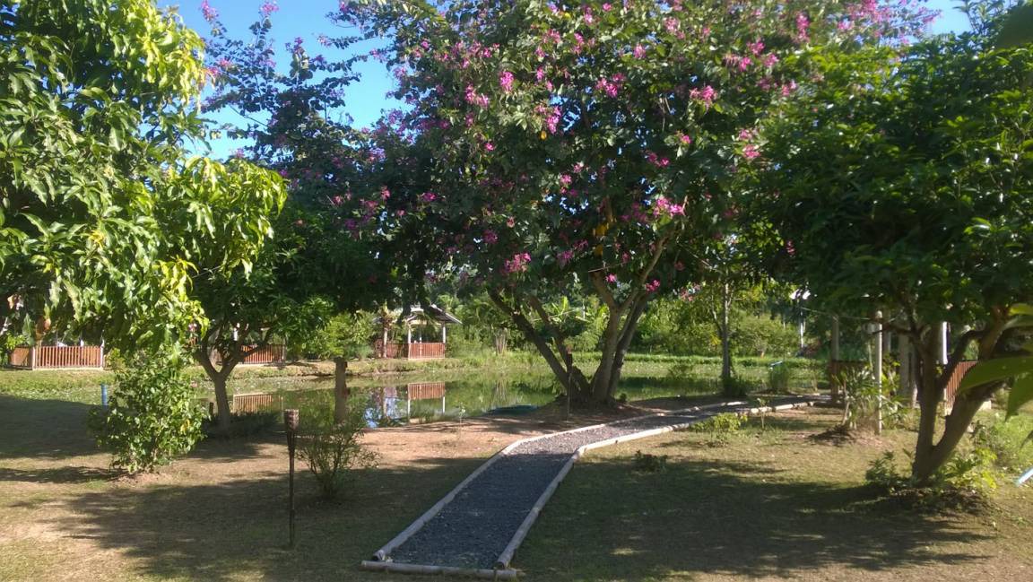 Photo of Others in Mueang Kaeo