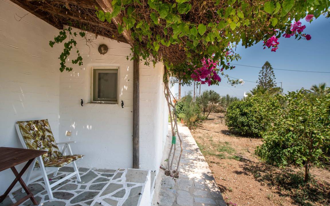 Photo of Others in Paros