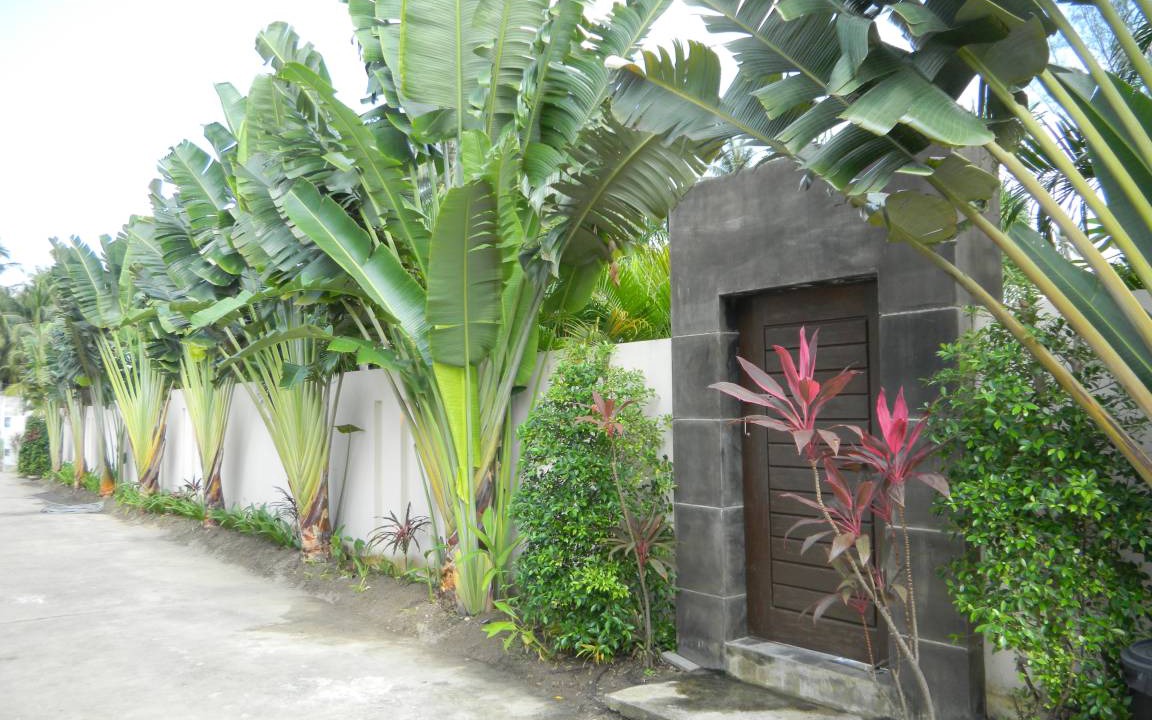 Photo of Others in Lipa Noi