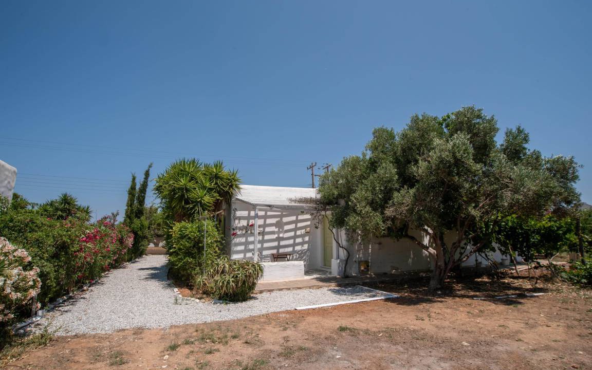 Photo of Others in Paros