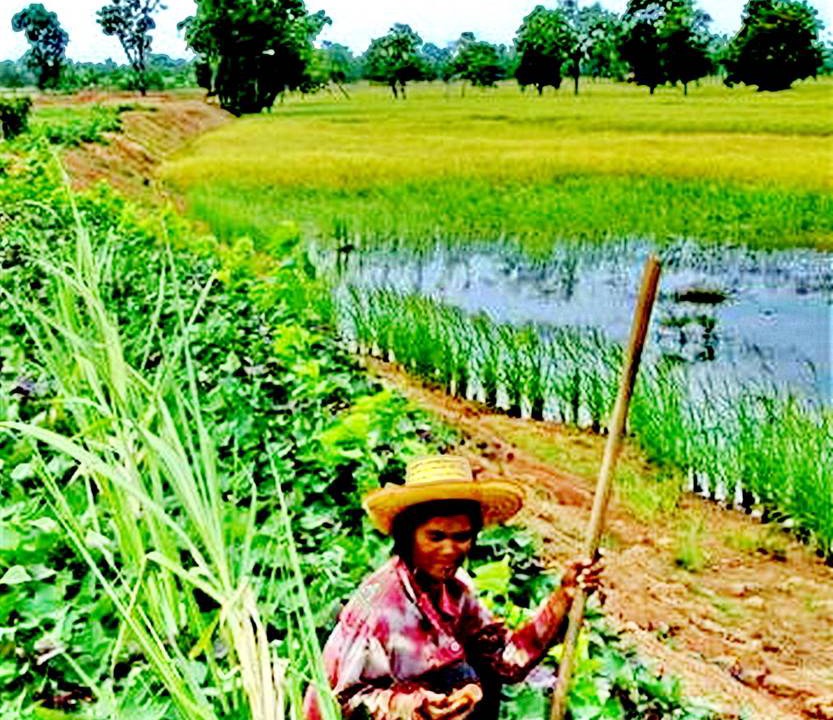 Photo of Others in Chonnabot