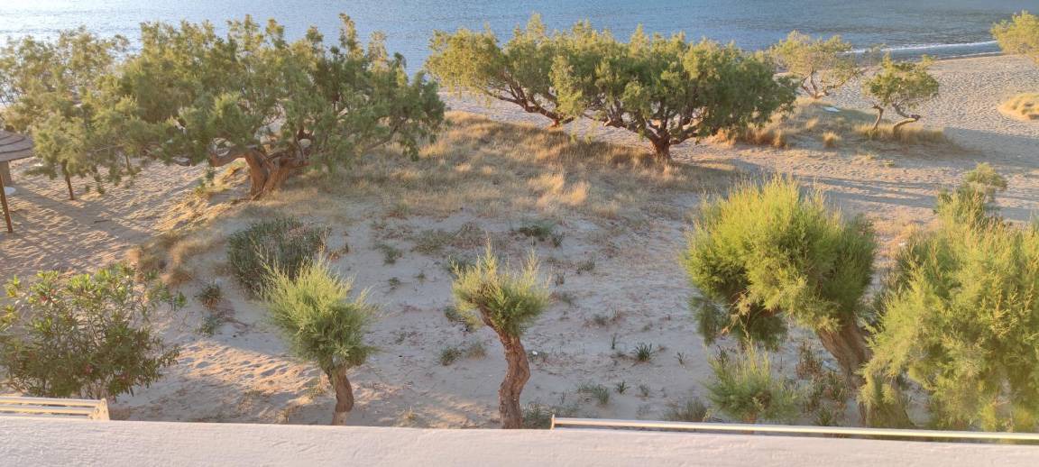 Photo of Others in Kamares