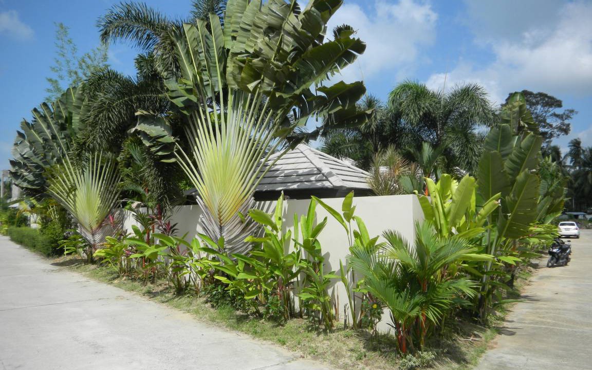 Photo of Others in Lipa Noi