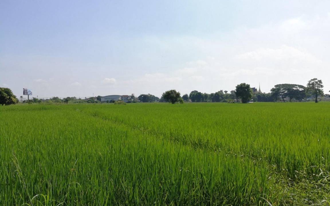 Photo of Others in Chiang Rai