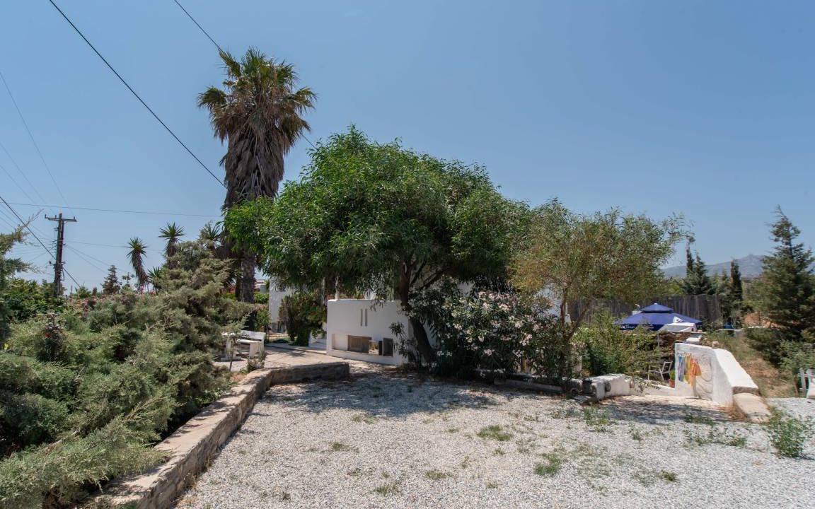 Photo of Others in Paros
