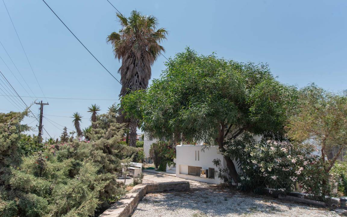 Photo of Others in Paros