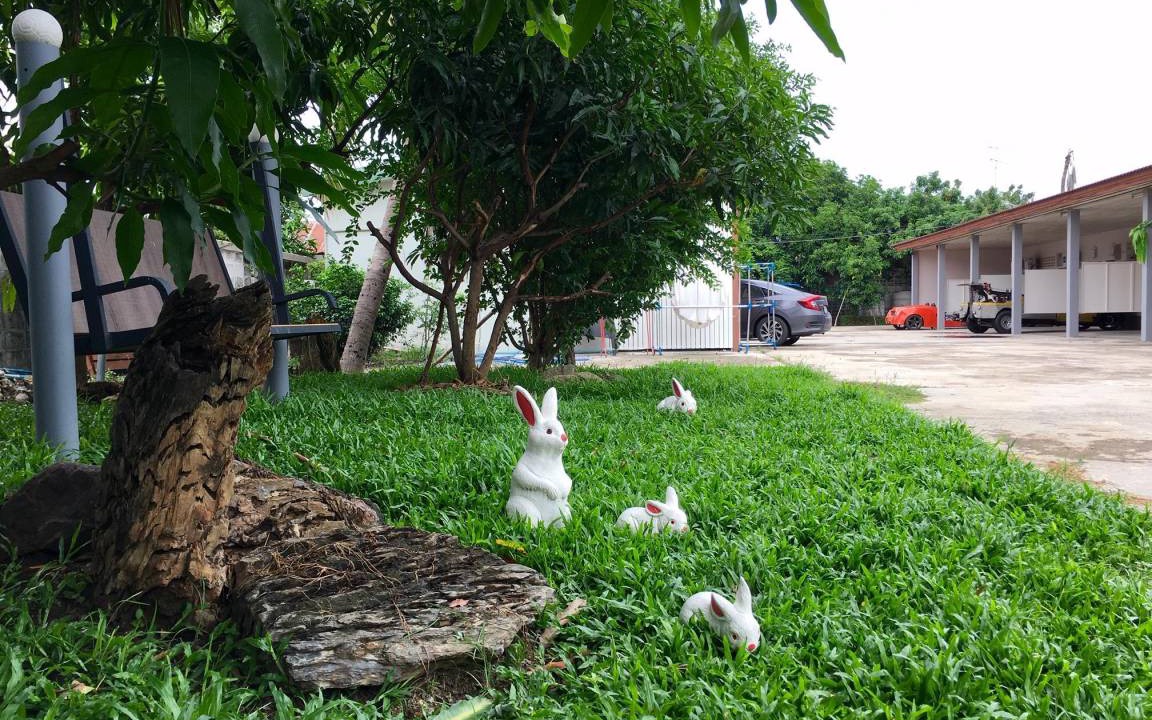 Photo of Others in Suphan Buri