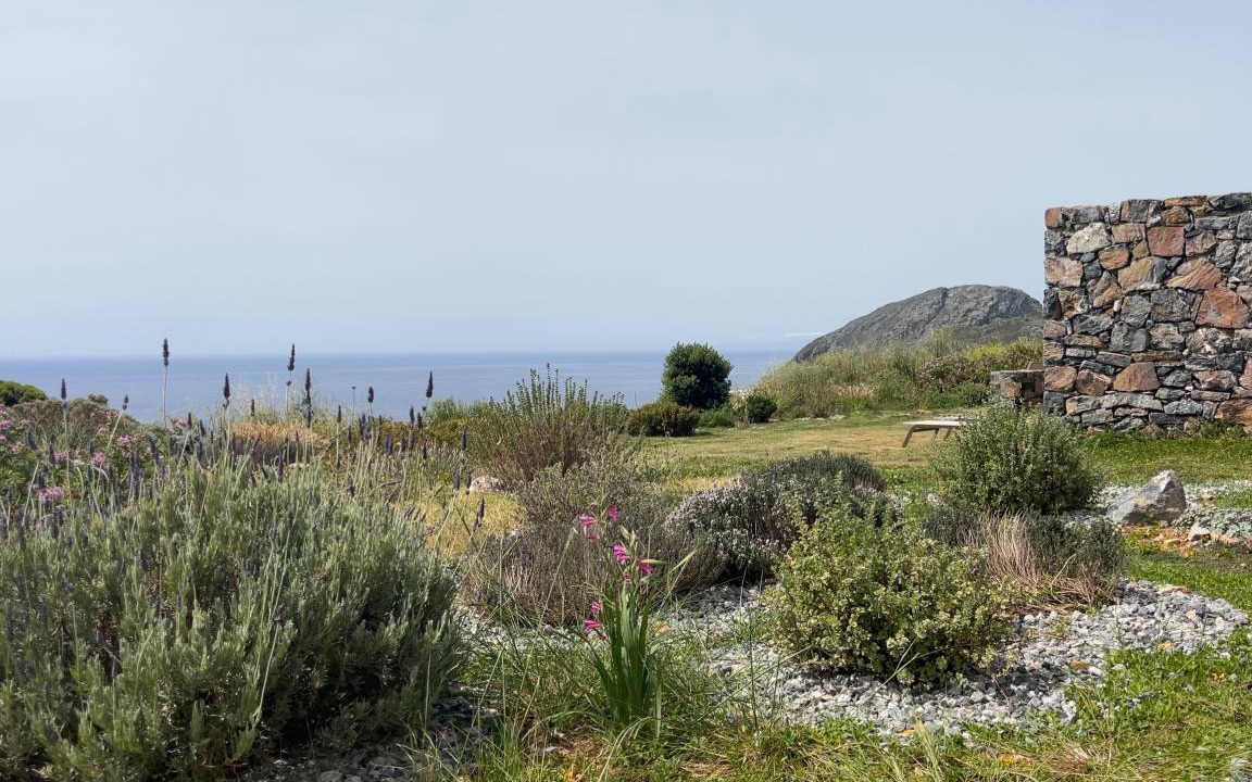 Photo of Others in Agios Vasileios