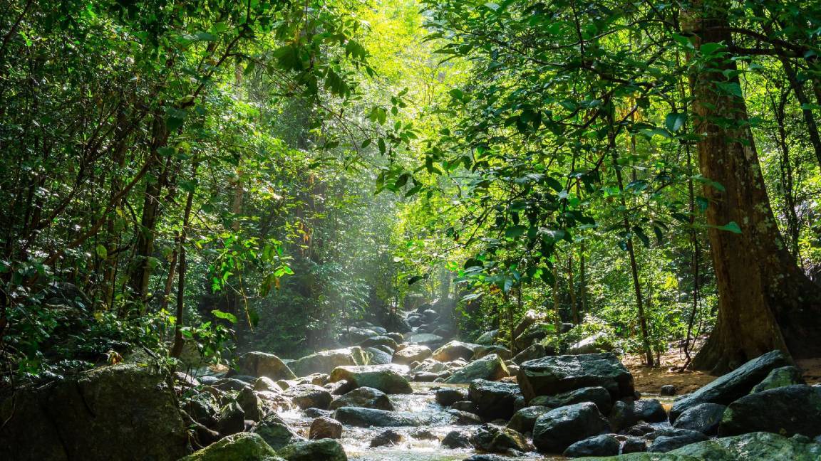 Photo of Others in Saen Suk