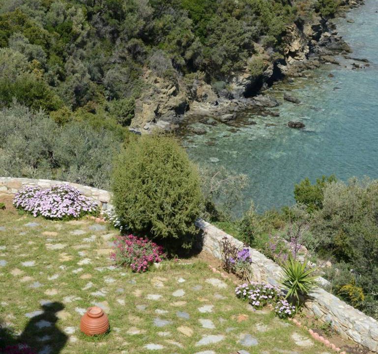Photo of Others in Sourpi