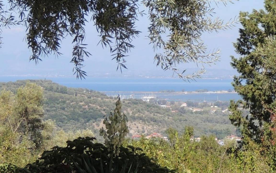 Photo of Others in Katouna