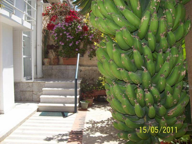 Photo of Others in Chania Town
