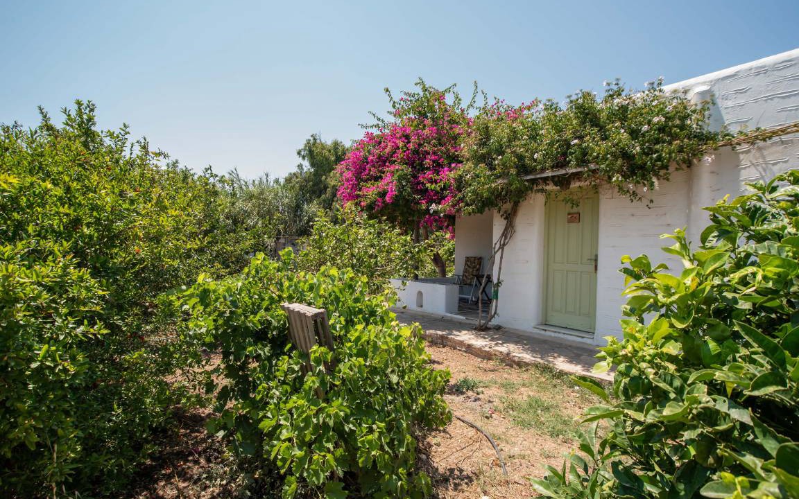 Photo of Others in Paros