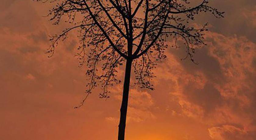 Photo of Others in Sai Yok