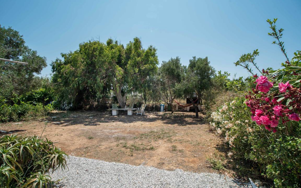 Photo of Others in Paros