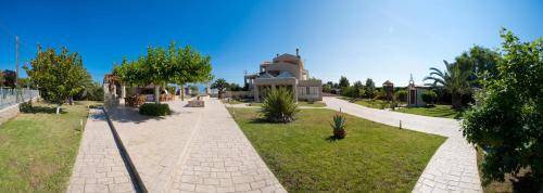 Photo of Others in Chalcis