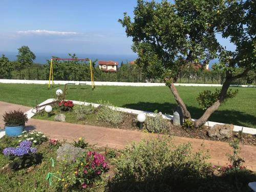 Photo of Others in Dio-Olympos