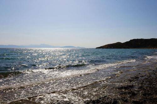 Photo of Others in Rafina-Pikermi