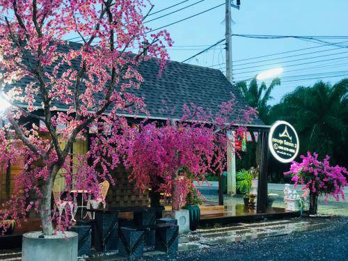 Photo of Others in Sao Phao