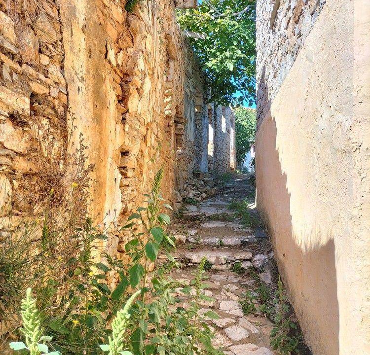 Photo of Others in Alonissos