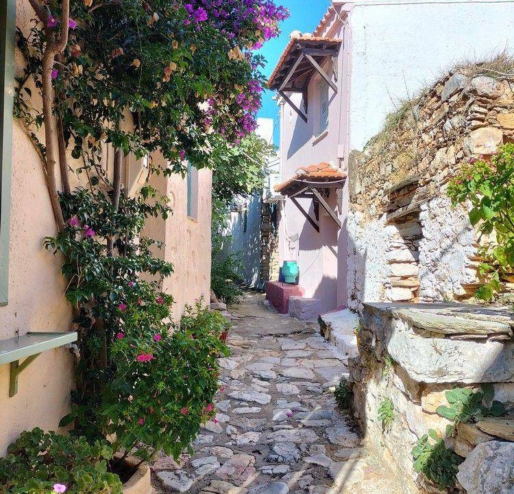 Photo of Others in Alonissos
