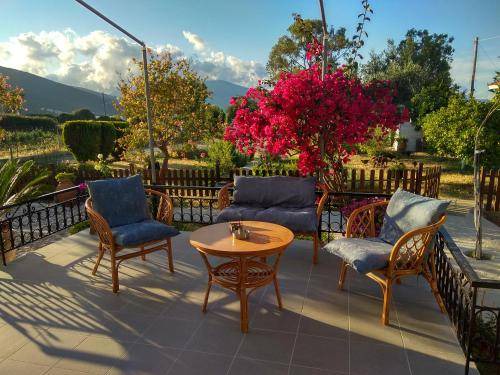 Photo of Patio Balcony in Sami