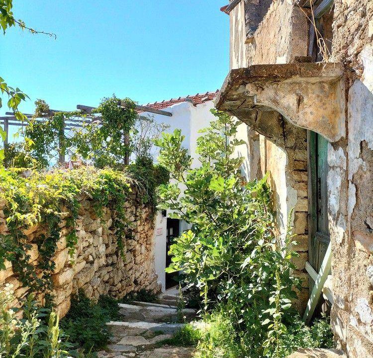 Photo of Others in Alonissos
