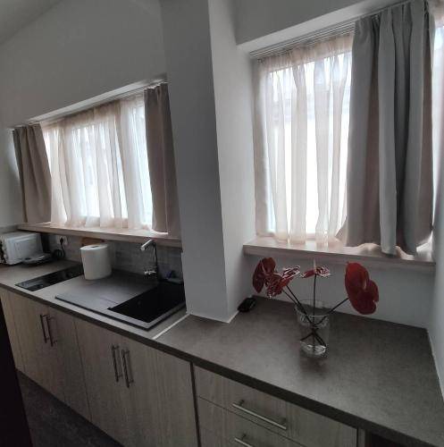 Photo of Kitchen in Aigio