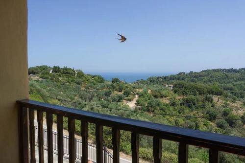 Photo of Others in Alonissos