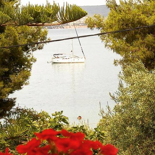 Photo of Others in Chalcis