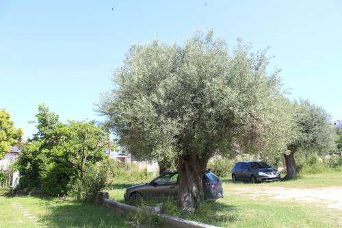 Photo of Others in Haniotis