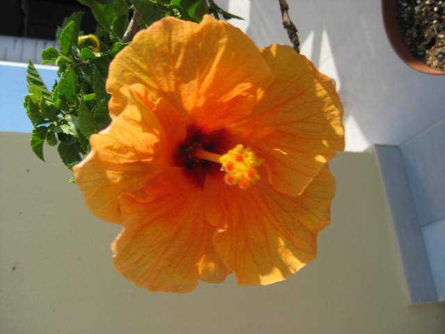 Photo of Others in Mastichari