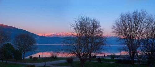 Photo of Outdoor in Ioannina Town Centre