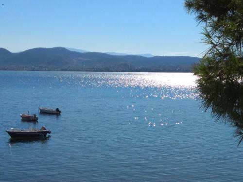 Photo of Others in Chalcis