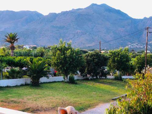 Photo of Others in Fragkokastello