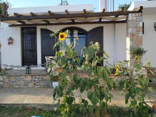 Photo of Others in Alonissos